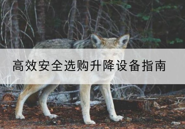 同江升降货梯厂家推荐-*安全选购升降设备指南