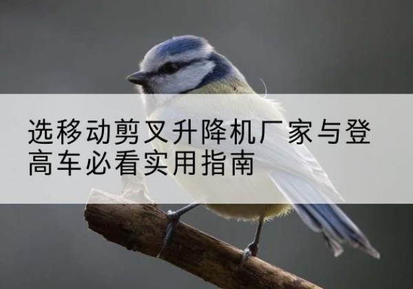 同江电动升降机厂家-选移动剪叉升降机厂家与登高车必看实用指南