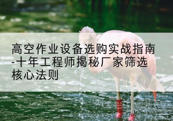 同江剪叉式升降机厂家-高空作业设备选购实战指南-十年工程师揭秘厂家筛选核心法则